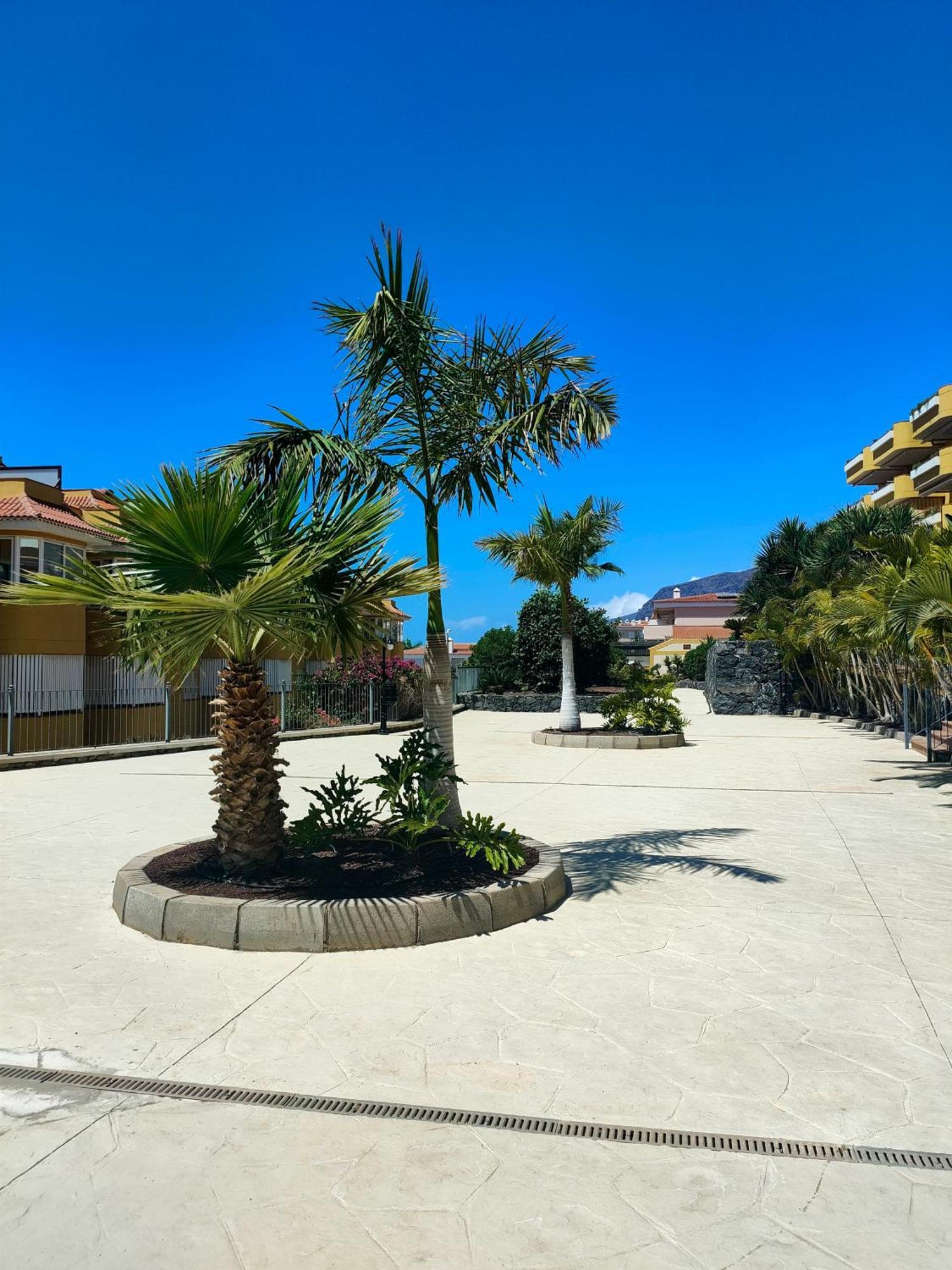 Belvedere Penthouse Puerto de Santiago  Εξωτερικό φωτογραφία